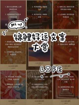 幸运的锦鲤文案：华丽常常伴随着伟大，幸运更经常地来自于简单