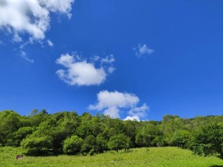 把白云写入古诗词到底有多美,蓝天白云，处处都是风景!