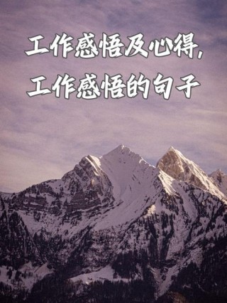 工作中的感悟