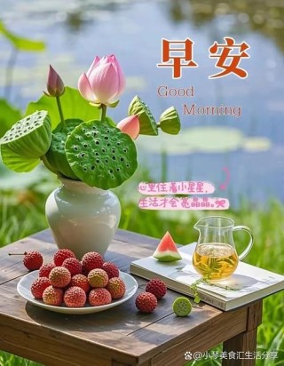 「早安心语」阳光温热，岁月静好，面朝大海，心似莲花朵朵开