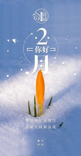 温柔的二月朋友圈文案短句
