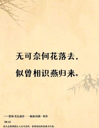 愿我们各自盛开在天涯