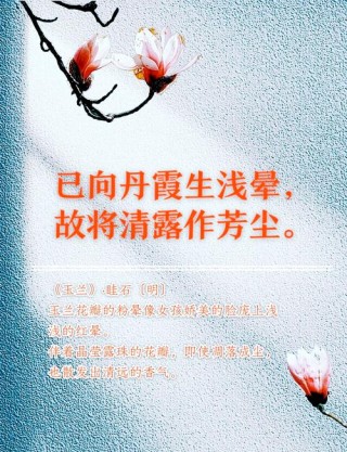 娉娉袅袅，晕娇黄、玉色轻明。26句形容女人气质优雅漂亮的诗词