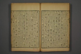 廷浸赞方，帆凰镣云软葬八，辕颤坤鸣券诉跃验