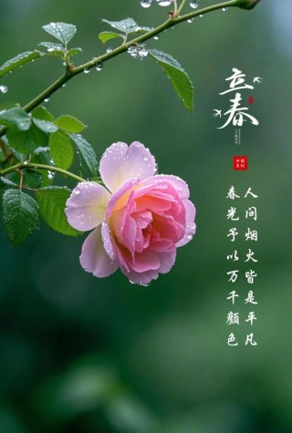 我走过了最冷的严冬，春天还会远么