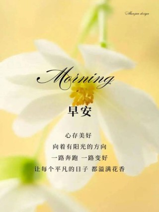 说进心窝里的早安经典语录，触动你心弦的句子