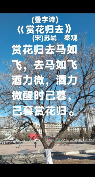 春已去,花谢不再开