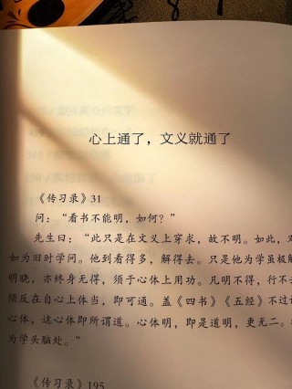 王阳明《传习录》经典二十句