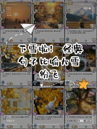 借一场大雪，表白我对人间的爱意