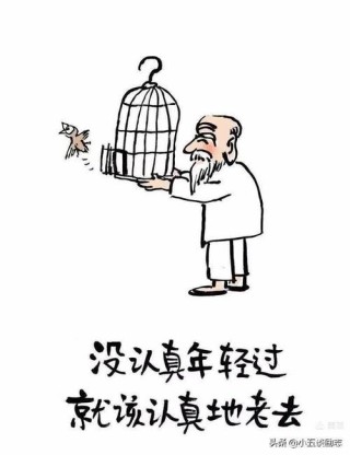 老了，真好