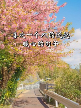 最近最流行的微信说说，简短精致，越看越爱
