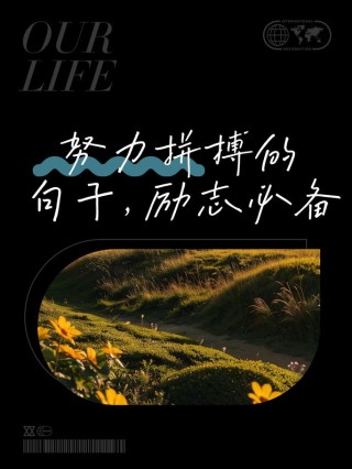迎难而上，努力拼搏