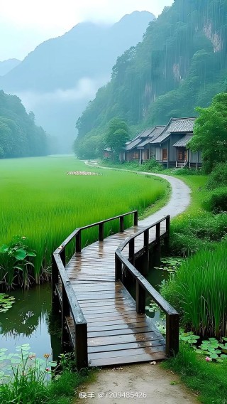 这5双令人魂牵梦萦的眼睛，映着世间最美好的风景