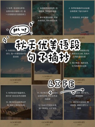 优美的句子摘抄，优美的句子摘抄，静谧的夜晚，星光如诗，洒满心间。
