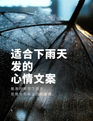 蒙蒙细雨心情很好的唯美句子 走在蒙蒙细雨中心情好的句子