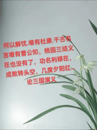 盘点《三国演义》的经典成语俗语，烂熟于心