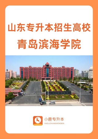 青岛滨海学院在江苏录取分数线2025年是多少（2025~2023近三年分数位次）