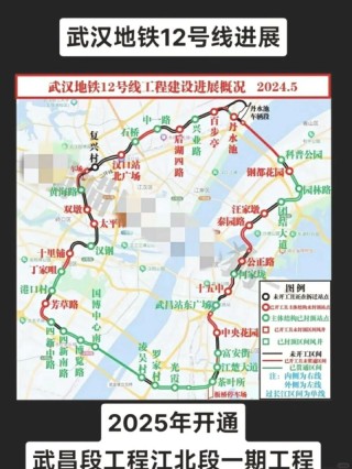 武汉地铁12号线站点图高清(武汉地铁线路图)