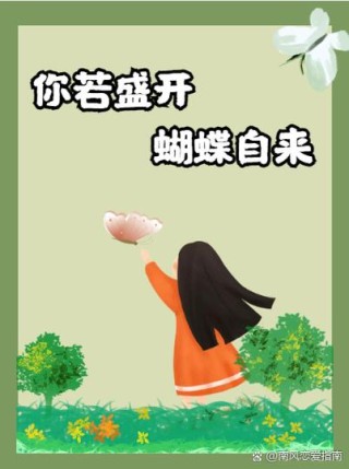 你若盛开，蝴蝶自来：别在无谓的爱情里迷失自己