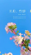 人间岁月，时光正好，花在枝上，好事正酿