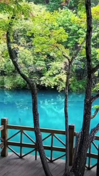 山中邂逅