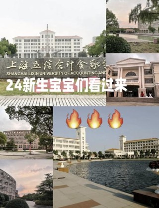 2026上海立信会计金融学院各专业在河南招生人数、录取分数线（附：招生计划表）