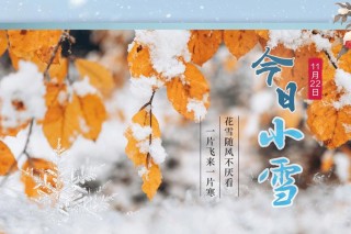 初冬浅浅，此刻正好