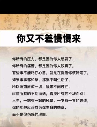 关于人生情感的唯美句子，句句优雅迷人，让人忍不住收藏