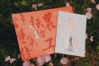 2025仲恺农业工程学院录取分数线（在各省录取最低分是多少）