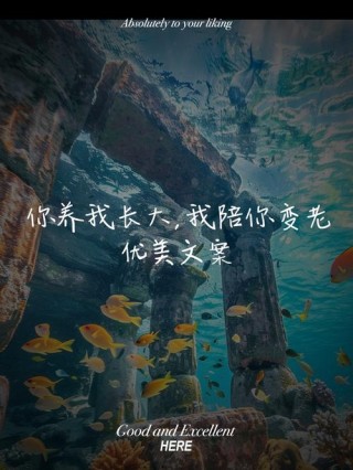 感恩父母：你陪我长大，我陪你变老