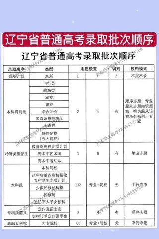 辽宁高考志愿填报表格模板2026电子版（免费下载）