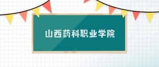 山西药科职业学院2025年在海南录取分数线是多少（2025~2023近三年分数位次）