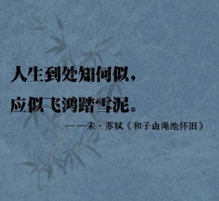出自苏轼古文的经典语录，句句有理，不可不读