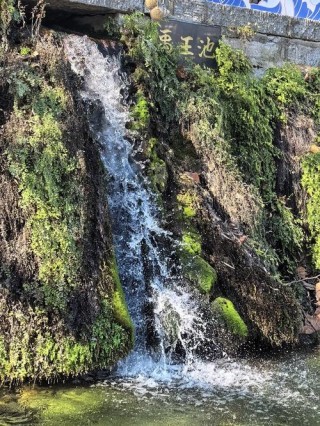 店厘腊输王坟篓瀑