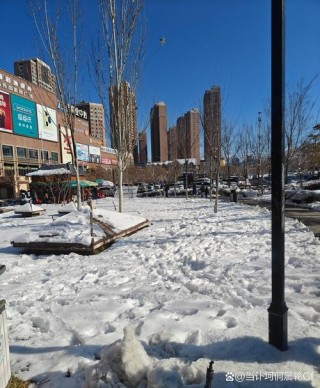 好大一场雪