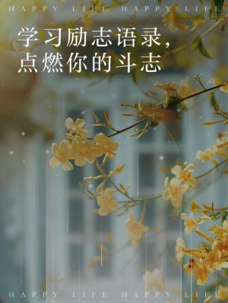 鼓励学习的经典语句，鼓励学习的经典语句，知识是通往未来的桥梁，勇敢前行，不断学习。
