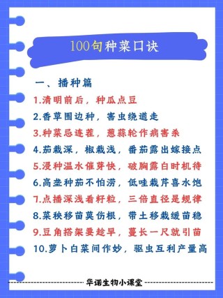 每一天都去播种