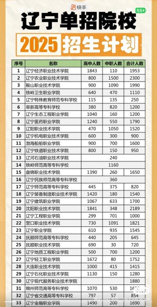 辽宁轻工职业学院在湖南各专业招生人数、录取分数线2026（附：招生计划表）