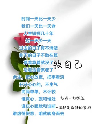一天，一年，一生