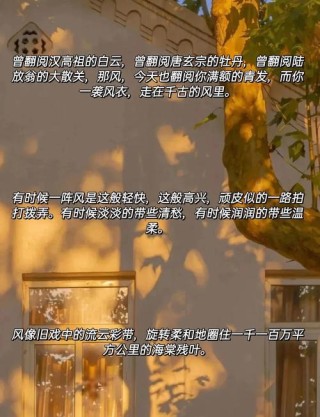 把风描写得极致的句子