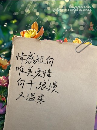 唯美爱情语录一起到老，深情走心，句句浪漫温柔