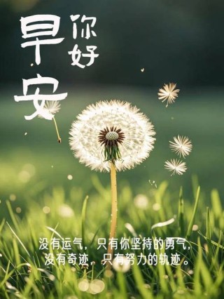 「2023.10.30」早安心语，正能量激励语录句子，精美语录句子图片