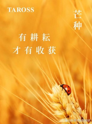 辛勤耕耘成果丰硕