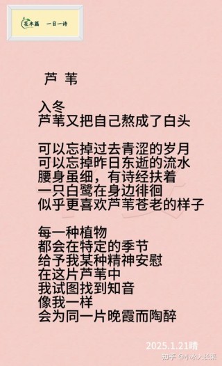 人淡淡，水濛濛，吹入芦花短笛中。30句清新唯美诗词：风致嫣然