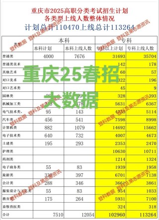 重庆轻工职业学院在安徽录取分数线、位次、招生人数（2023-2025招生计划）