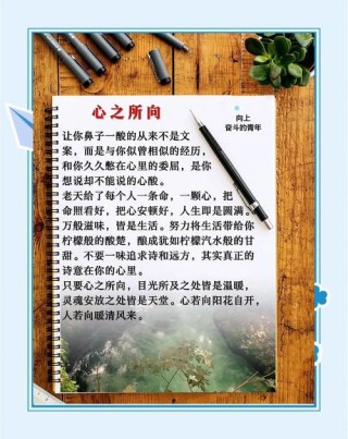 心理美文《心若向阳》，心若向阳，心理美文的力量