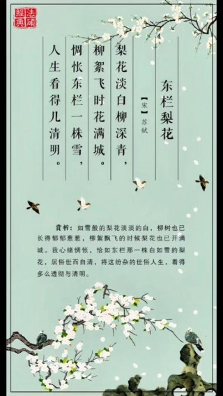 风吹棠梨花，十二首棠梨花的诗词，满树花开，洁白胜雪