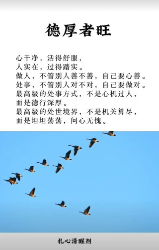 感悟：静心做事、细心为人、真心付出