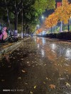 独自走在街头的说说 冷清的街上独自徘徊
