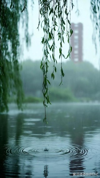 五月，小雨飘起来的时候